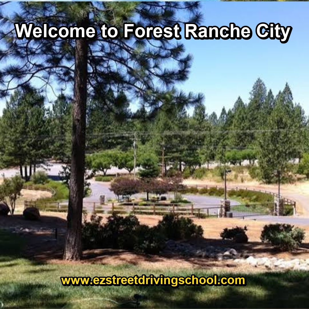 Driving Lessons in Forest Ranche